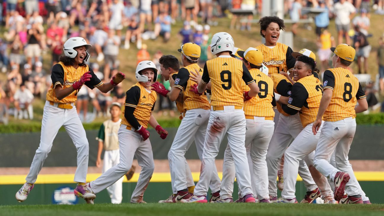 案例分析 案例分析